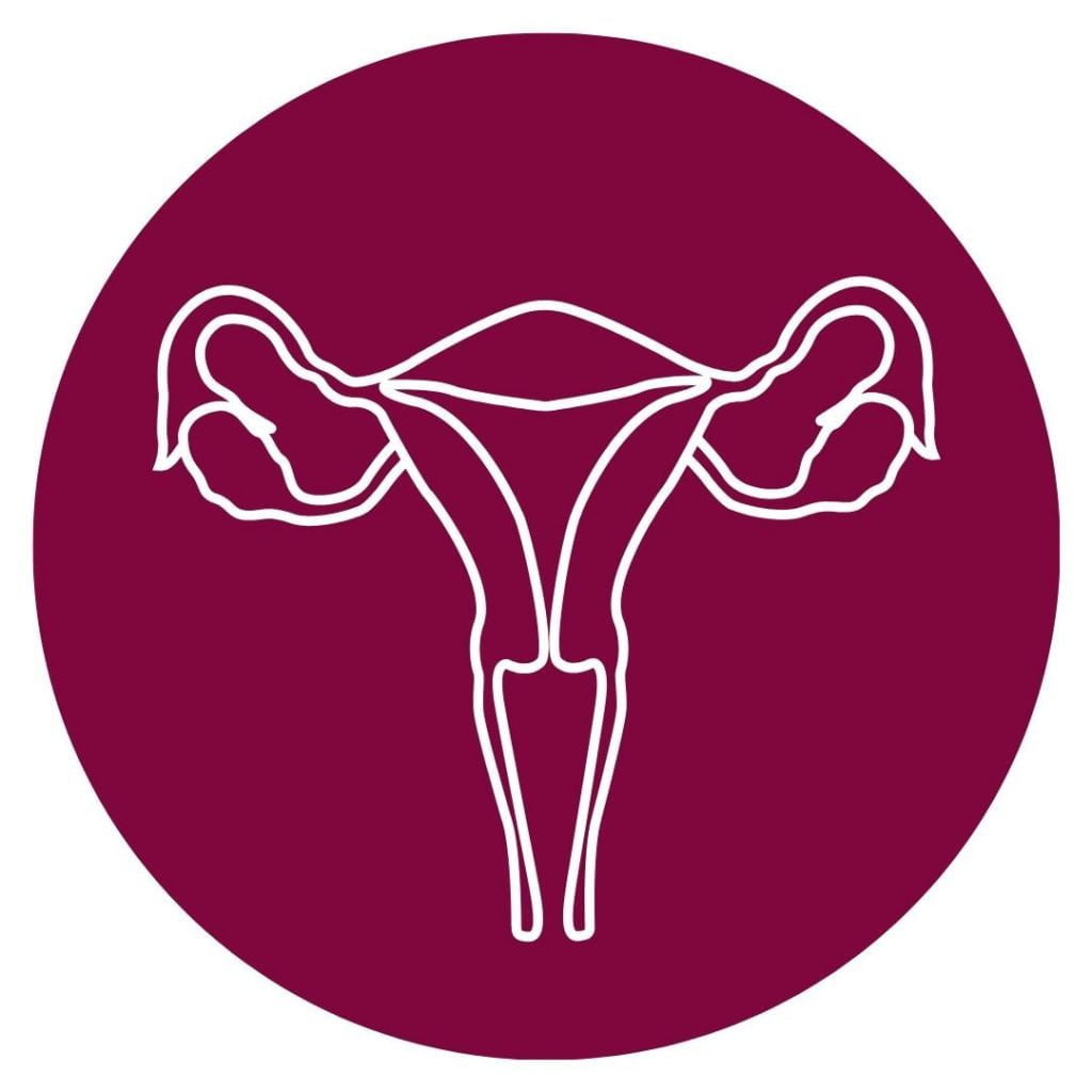 white background with a magenta circle and a diagram of the uterus and ovaries in white