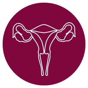 white background with a magenta circle and a diagram of the uterus and ovaries in white