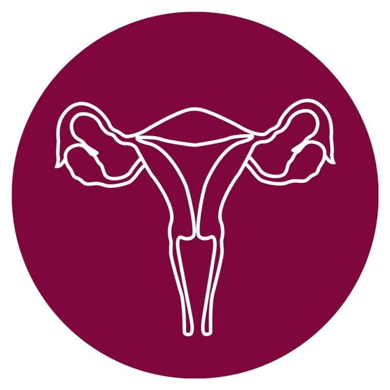 Reproductive Anatomy 101: The Ovaries & Fallopian Tubes